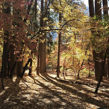 يوسميتي ويست Yosemite Condominium المظهر الخارجي الصورة