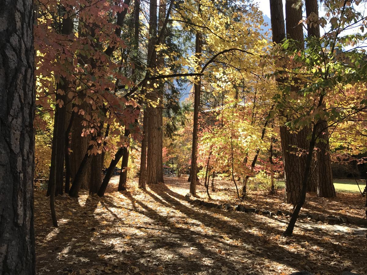 يوسميتي ويست Yosemite Condominium المظهر الخارجي الصورة
